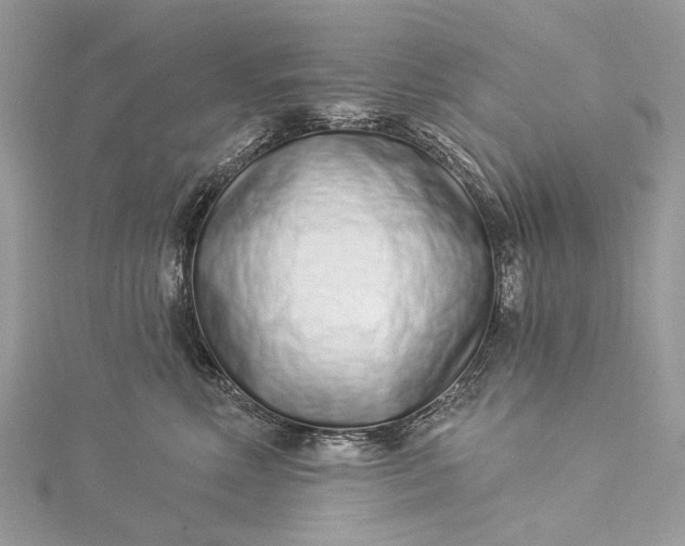 X0000115520618200911201700