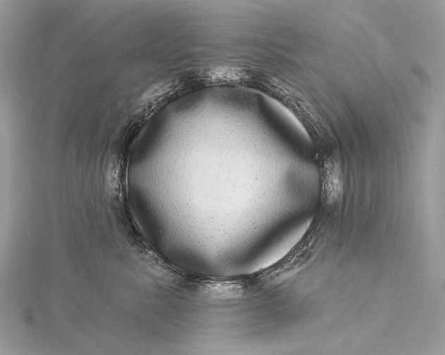 X0000115520619200911201700