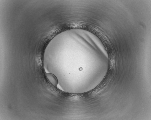 X0000115520620200911201700