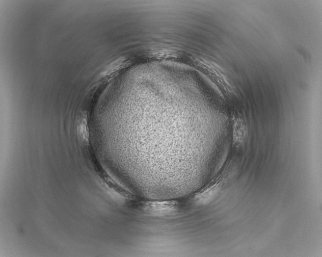 X0000115520622200911201700