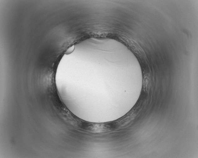 X0000115520623200911201700