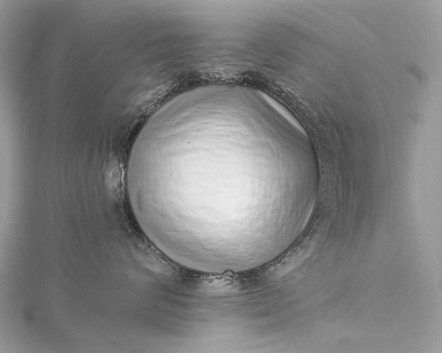 X0000115520624200911201700