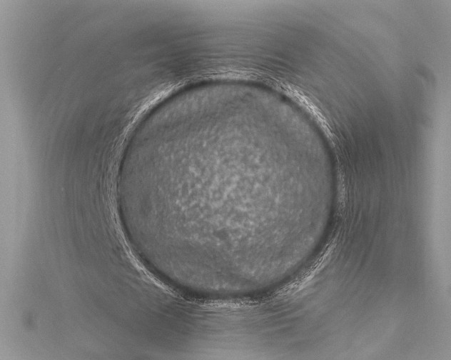 X0000115520625200911201700