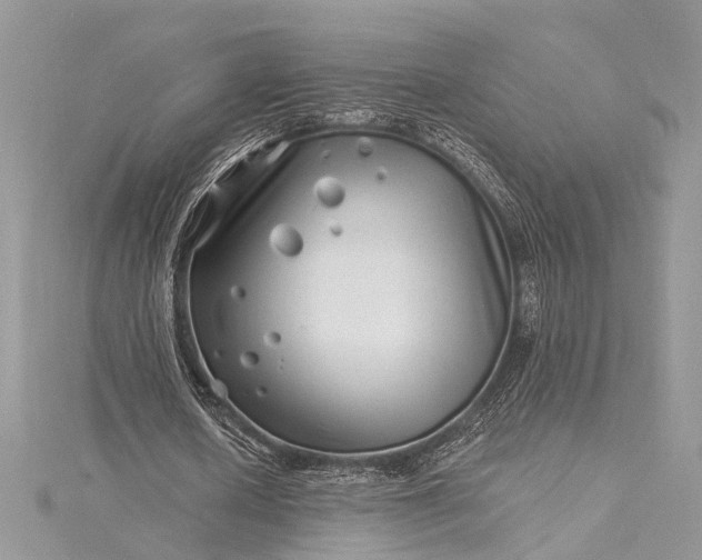 X0000115520626200911201700