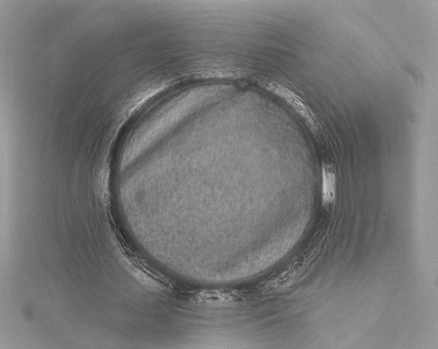 X0000115520627200911201700