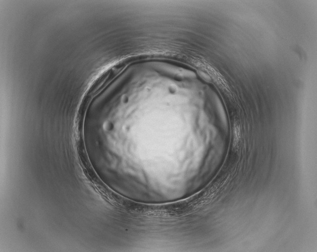 X0000115520628200911201700