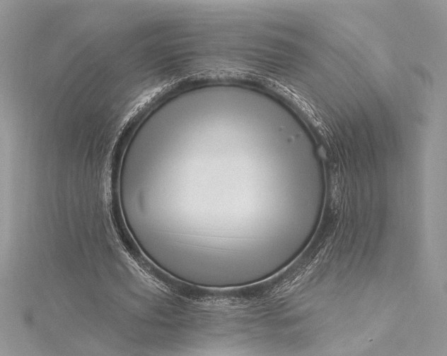 X0000115520629200911201700