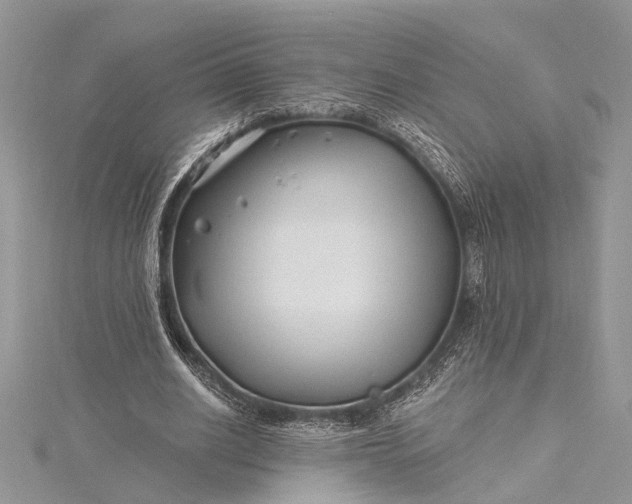 X0000115520630200911201700