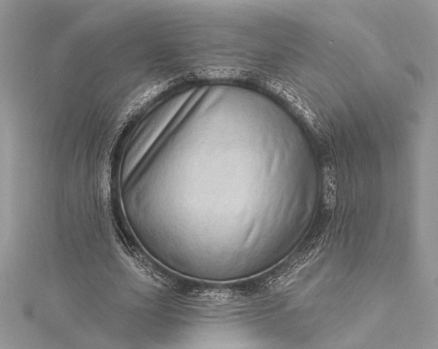 X0000115520631200911201700