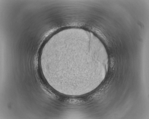 X0000115520632200911201700