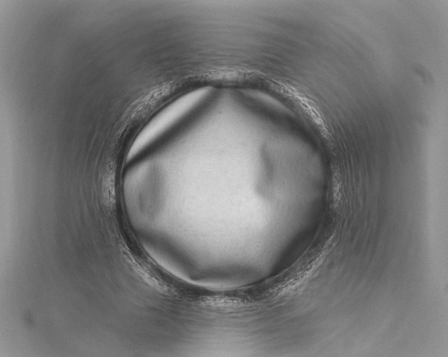 X0000115520633200911201700