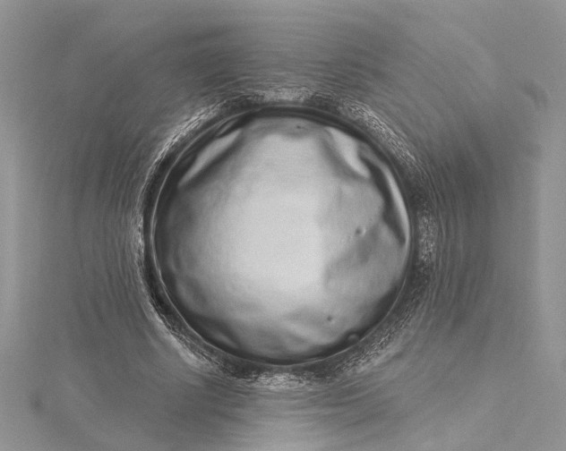 X0000115520634200911201700