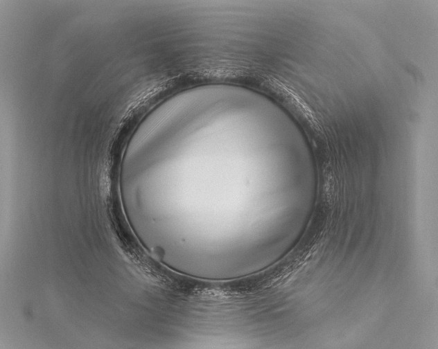 X0000115520635200911201700