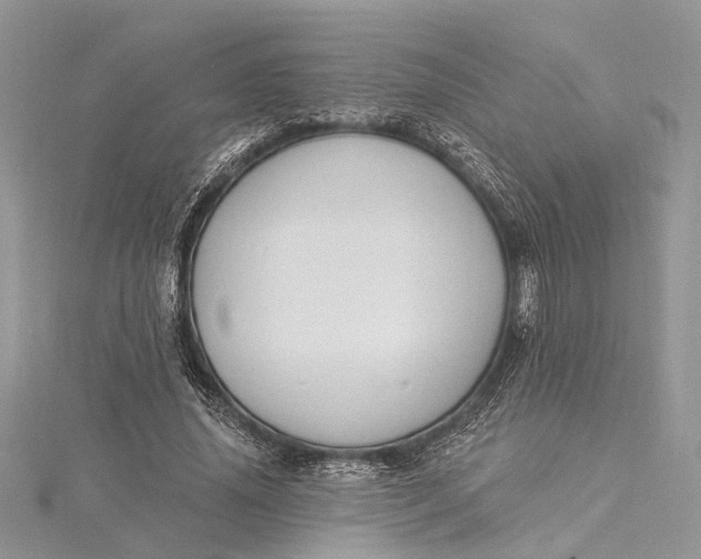 X0000115520636200911201700