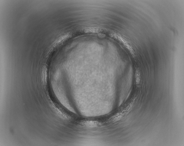 X0000115520637200911201700