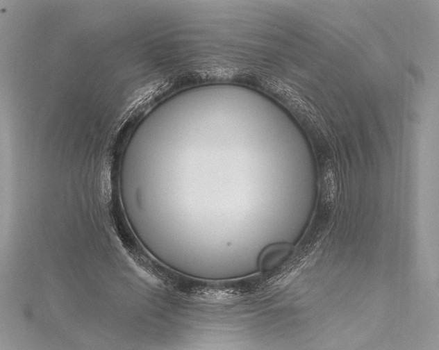 X0000115520638200911201700