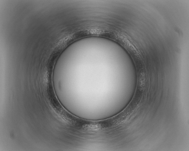 X0000115520639200911201700