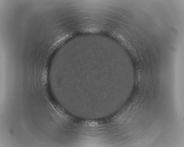 X0000115520640200911201700