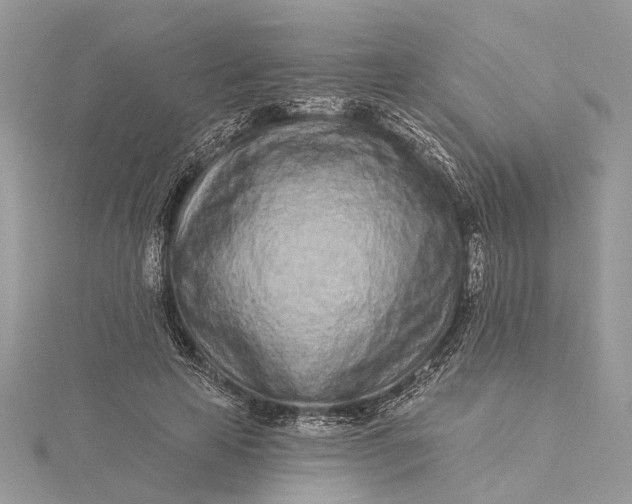 X0000115520641200911201700