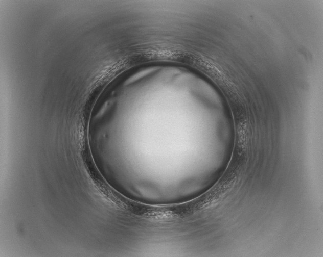 X0000115520642200911201700