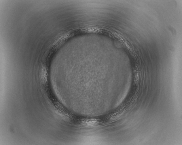 X0000115520643200911201700