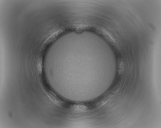 X0000115520644200911201700