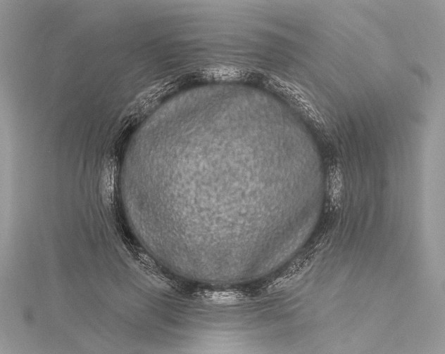 X0000115520645200911201700