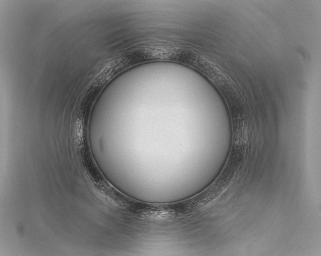 X0000115520646200911201700