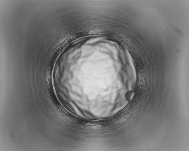 X0000115520648200911201700