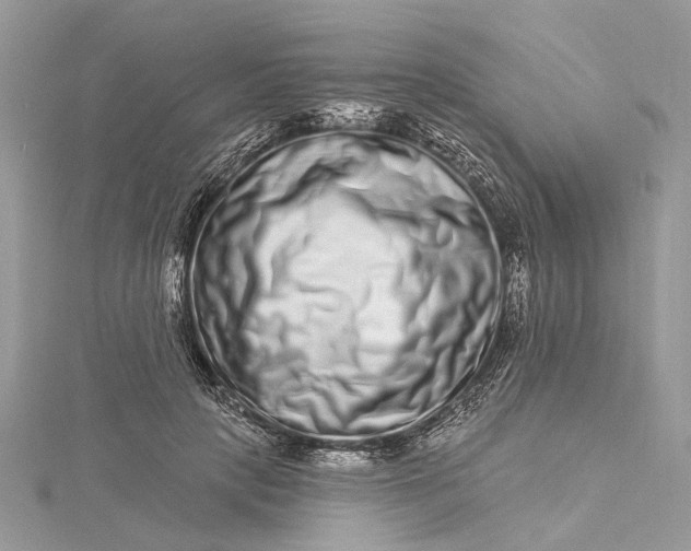 X0000115520649200911201700