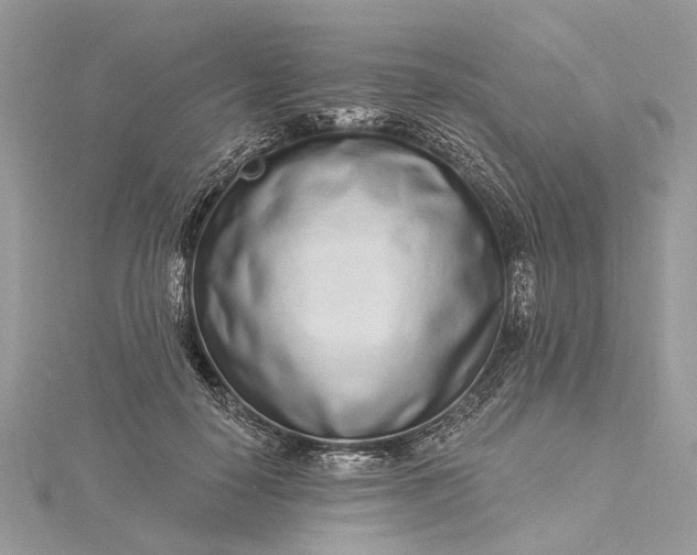 X0000115520650200911201700