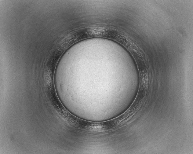 X0000115520651200911201700