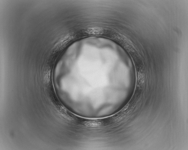 X0000115520652200911201700