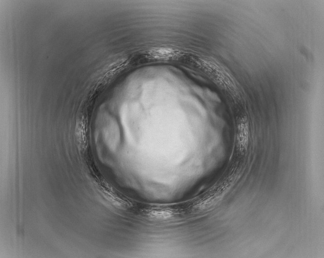 X0000115520653200911201700