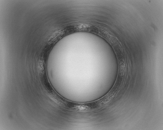 X0000115520654200911201700