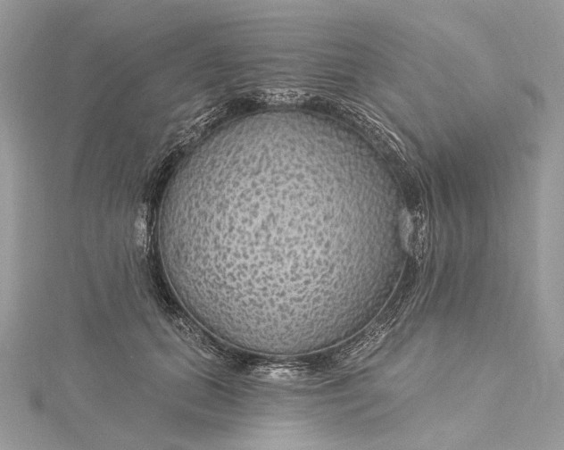 X0000115520655200911201700