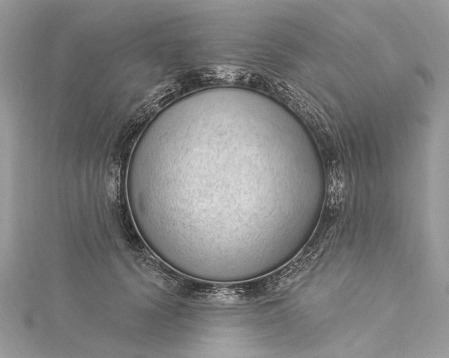 X0000115520656200911201700