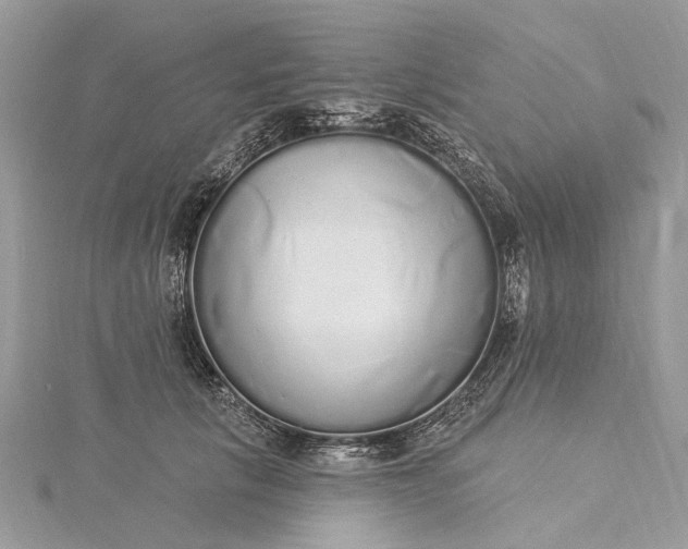 X0000115520657200911201700