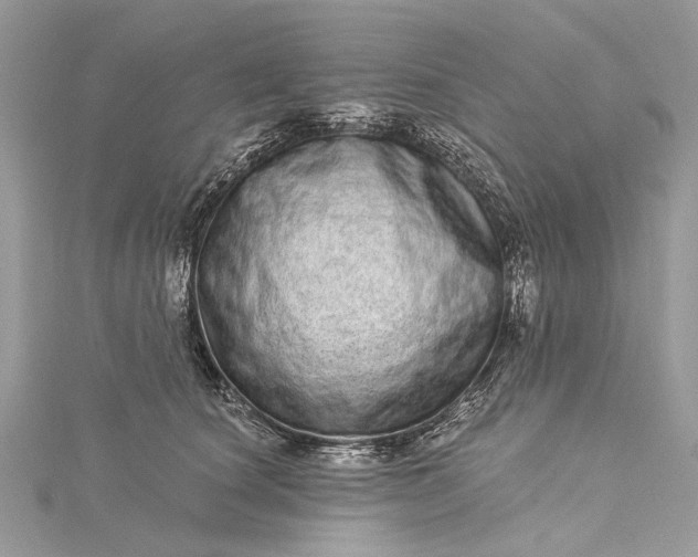 X0000115520660200911201700