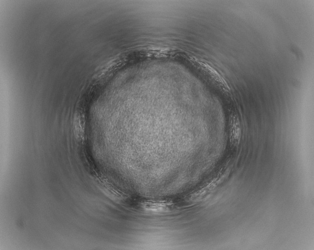 X0000115520661200911201700