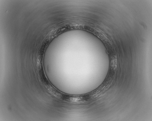 X0000115520662200911201700