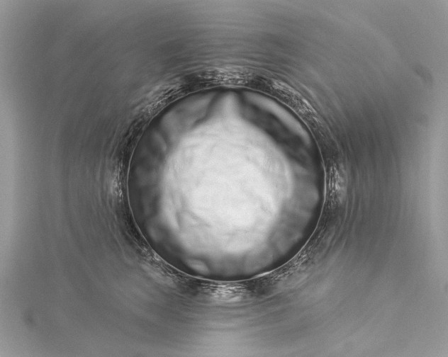 X0000115520663200911201700