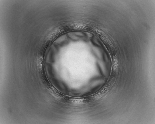 X0000115520664200911201700