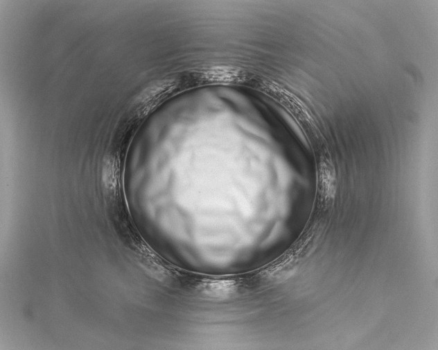 X0000115520665200911201700