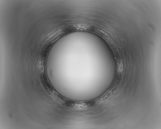 X0000115520666200911201700