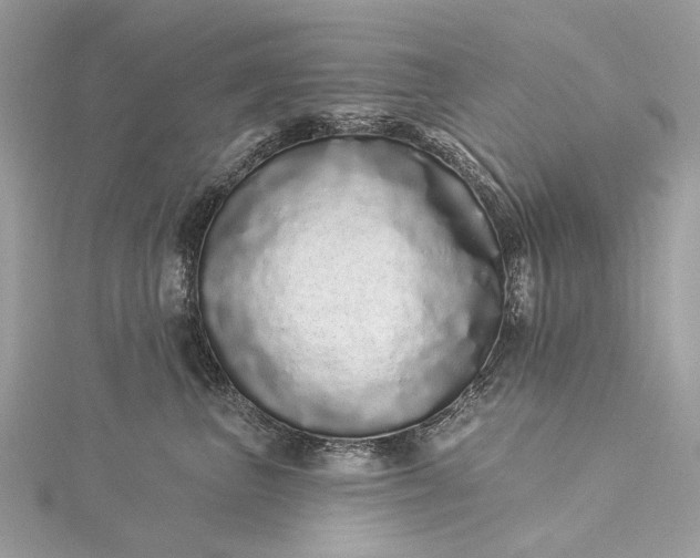 X0000115520667200911201700