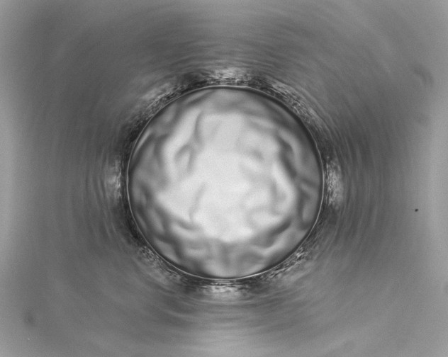 X0000115520668200911201700