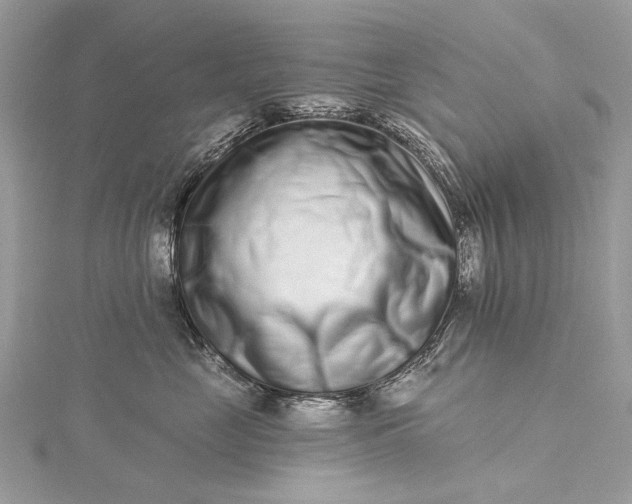 X0000115520669200911201700