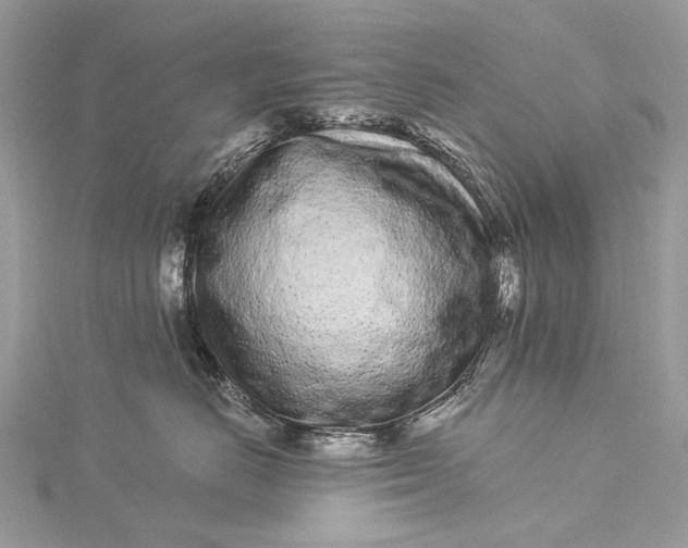 X0000115520670200911201700