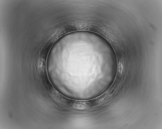 X0000115520671200911201700